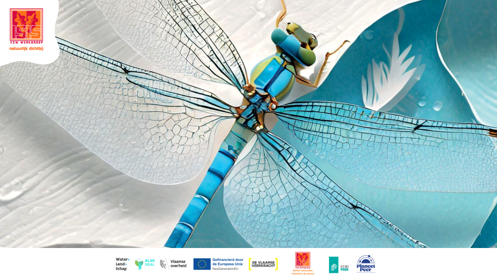 Waterdag - belevingsdag voor gezinnen + infomoment Water+Land+Schap