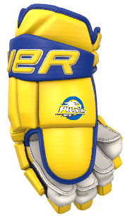 Custom Phantoms Hockey Gloves