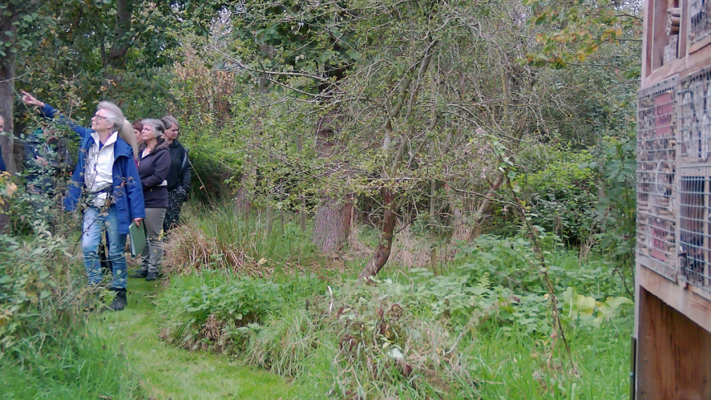 Een voedselbos - een hype of een begrip?